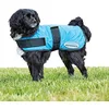 Image de Weatherbeeta therapy-tec Manteau rafraîchissant pour chien Bleu 30 cm