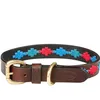 Image de Weatherbeeta - Collier Polo - Chien (XS) (Marron/Émeraude/Rose/Bleu)
