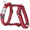 Image de Red Dingo - Petral style