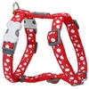 Image de Red Dingo - Petral style