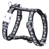 Image de RED DINGO - Harnais Red Dingo Noir Diamant T2