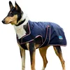 Image de Weatherbeeta 2025 Comfitec Premier Deluxe Waterproof Dog Coat 1028800 - Navy/Burgundy Size - 35CM