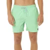 Image de Rip Curl 2025 Hommes Short De Volley Daily 16" 04FMBO - Neon Green