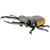 Image de EUGY Coléoptère Lucanidae   Puzzle 3D N° 114   Jouet Créatif en Carton Recyclé   pour Enfants dès 6 Ans et Adultes Jusqu’à 99 Ans  Puzzle Éducatif et Écologique