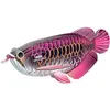 Image de EUGY Poisson Dragon - Puzzle 3D N° 118 - Jouet Créatif en Carton Recyclé - pour Enfants dès 6 Ans et Adultes Jusqu’à 99 Ans - Puzzle Éducatif et Écologique