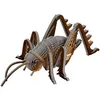 Image de EUGY Weta   Puzzle 3D N° 119   Jouet Créatif en Carton Recyclé   pour Enfants dès 6 Ans et Adultes Jusqu’à 99 Ans  Puzzle Éducatif et Écologique