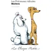 Image de Classique Hachette - Les Précieuses ridicules, Molière en occasion ou reconditionné