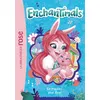 Image de Enchantimals 03 - Un mystère pour Bree en occasion ou reconditionné