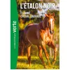 Image de L'Etalon Noir NED 10 - Flamme cheval sauvage en occasion ou reconditionné