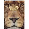Image de ANIMO RAMA Incroyable Savane en occasion ou reconditionné