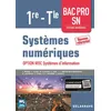 Image de Systèmes numériques 1re Tle Bac Pro SN, option RISC Systèmes d'information (2017) - Pochette élève en occasion ou reconditionné