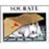 Image de Socrate en occasion ou reconditionné