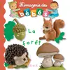 Image de La forêt