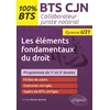 Image de BTS CJN - Les éléments fondamentaux du droit (U31) en occasion ou reconditionné