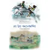 Image de Les Iles enchantées en occasion ou reconditionné