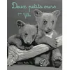 Image de Deux petits ours en occasion ou reconditionné