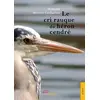 Image de Le cri rauque du héron cendré