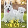 Image de Du chiot au chien en occasion ou reconditionné