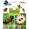 Image de Les insectes en occasion ou reconditionné