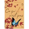 Image de Ce qu'il n'est pas - tome 5