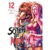 Image de Soten No Ken T12 en occasion ou reconditionné