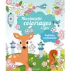 Image de Mes plus jolis coloriages à offrir - Balades enchantées en occasion ou reconditionné