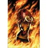 Image de X-Men : Le chant du Phénix en occasion ou reconditionné