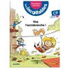 Image de Les incollables - Premières lectures - Tome 5 - Vive l'accrobranche ! - niv.3 en occasion ou reconditionné