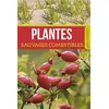 Image de Plantes sauvages comestibles en occasion ou reconditionné