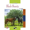 Image de Black Beauty (A1) en occasion ou reconditionné