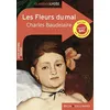 Image de Les Fleurs du mal en occasion ou reconditionné