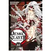 Image de Demon Slayer T22 en occasion ou reconditionné