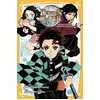 Image de Demon Slayer - Roman jeunesse T01 : Tanjiro & Nezuko l'origine de leur destin en occasion ou reconditionné