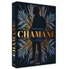 Image de Chamane - Tome 02 Le Maître de la confrérie en occasion ou reconditionné