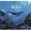 Image de Bleu en occasion ou reconditionné