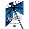 Image de Libellule en occasion ou reconditionné