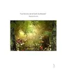 Image de "Les Secrets de la Forêt Enchantée"