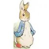 Image de Bonjour Pierre Lapin ! en occasion ou reconditionné