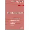 Image de Fiche de lecture Micromégas de Voltaire (Analyse littéraire de référence et résumé complet) en occasion ou reconditionné