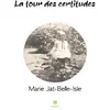 Image de La tour des certitudes en occasion ou reconditionné