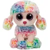 Image de Ty Rainbow