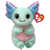 Image de Peluche Alex L'axolotl - Beanie Bellies Petite Taille - Ty