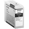 Image de Epson Singlepack Photo Black T850100