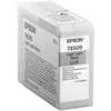 Image de Epson Singlepack Light Light Black T850900