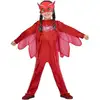 Image de Pyjamasques Déguisement Enfant - Bibou