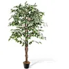 Image de Plante Artificielle Ficus COSTWAY - 160CM - Pot Rempli de Ciment - 1008 Feuilles Tronc Réaliste Mousse Séchée