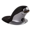 Image de Fellowes Penguin Medium - souris verticale - 2.4 GHz - noir, argent