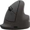 Image de Fellowes 100143579 Souris Universel Droitier Bluetooth + Usb Type-c Optique 1600 Dpi