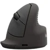 Image de Fellowes Breyta - souris verticale - moyen - Bluetooth, 2.4 GHz, USB-C - noir