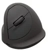 Image de Fellowes Breyta Plus+ - souris verticale - moyen - Bluetooth, 2.4 GHz, USB-C - noir